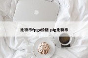 比特币fpga价格 pig比特币