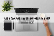 比特币怎么夹缝生存 比特币如何操作才赚钱