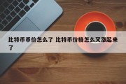 比特币币价怎么了 比特币价格怎么又涨起来了