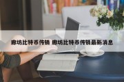 廊坊比特币传销 廊坊比特币传销最新消息