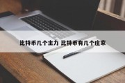 比特币几个主力 比特币有几个庄家