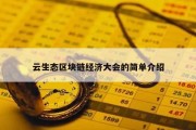 云生态区块链经济大会的简单介绍