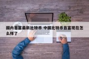 国内首富最新比特币 中国比特币首富现在怎么样了