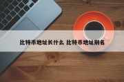 比特币地址长什么 比特币地址别名