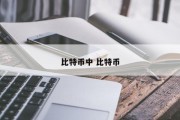比特币中 比特币