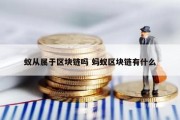 蚁从属于区块链吗 蚂蚁区块链有什么