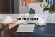 标普比特币 p比特币
