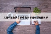 比特币还有其它币吗 比特币还有别的什么币